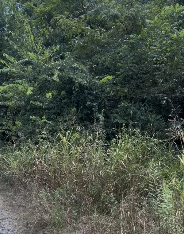 Columbia, TN 38401,0 Shapior Trail