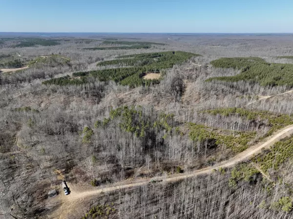 Stewart, TN 37175,0 White Oak Rd