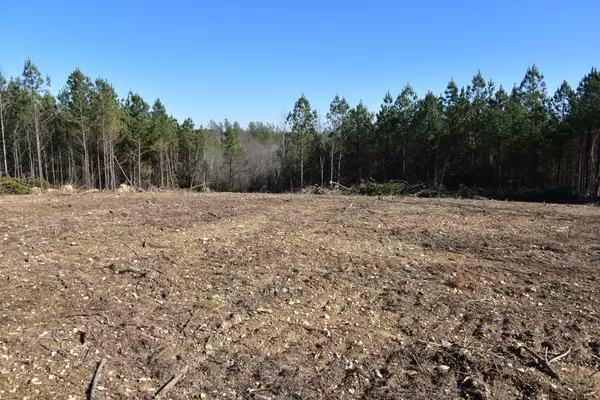 Stewart, TN 37175,0 White Oak Rd