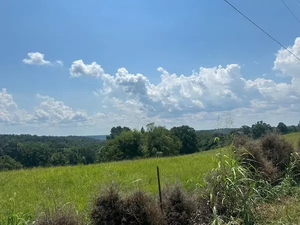 Indian Mound, TN 37079,0 Lylewood