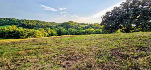 Pulaski, TN 38478,300 Milky Way Dr