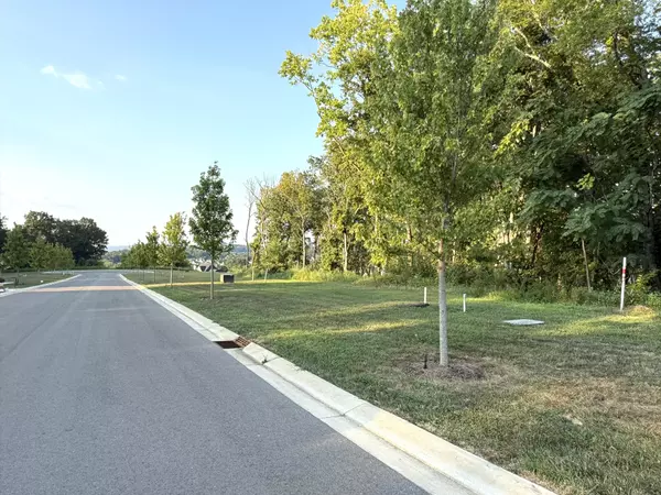 College Grove, TN 37046,8514 Blanton Ct