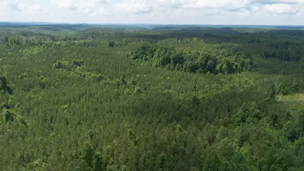 Sugar Tree, TN 38380,0 Old State Hwy 69