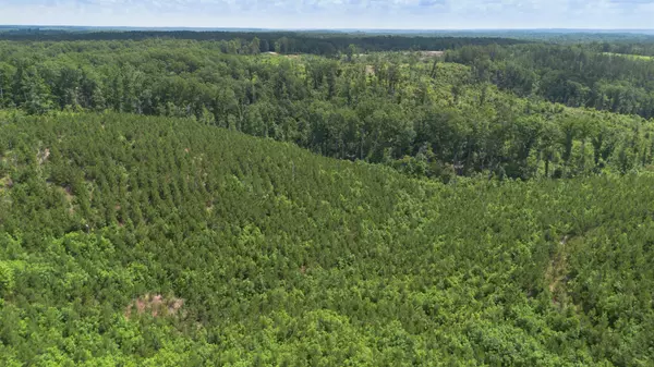 Sugar Tree, TN 38380,0 Low Gap Road