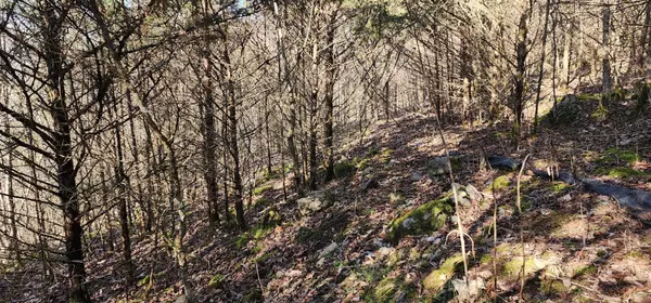 Smithville, TN 37166,14 Lake Meadow Dr