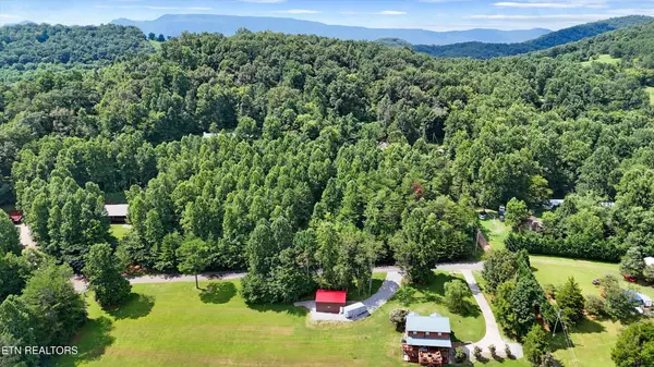 Cosby, TN 37722,4 Peachie Way