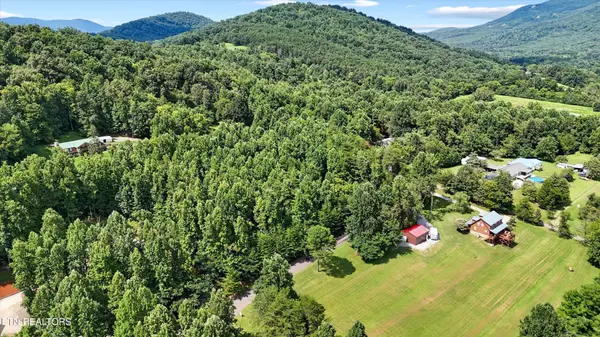 Cosby, TN 37722,4 Peachie Way