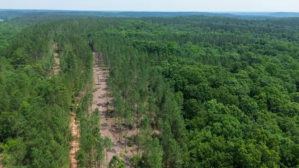 Centerville, TN 37033,0 Mayfield Divide Rd