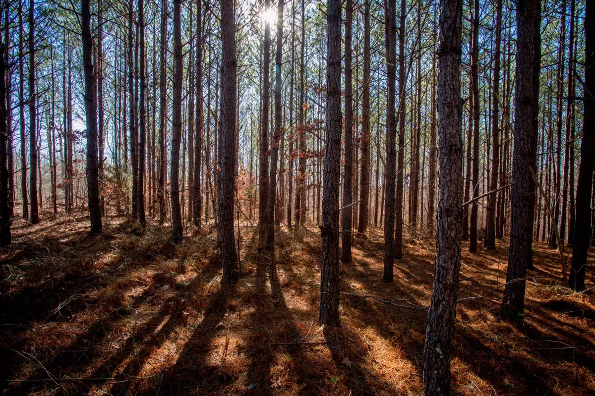 Centerville, TN 37033,0 Mayfield Divide Rd