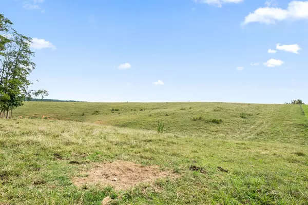 Erin, TN 37061,9 Brigham Branch Rd