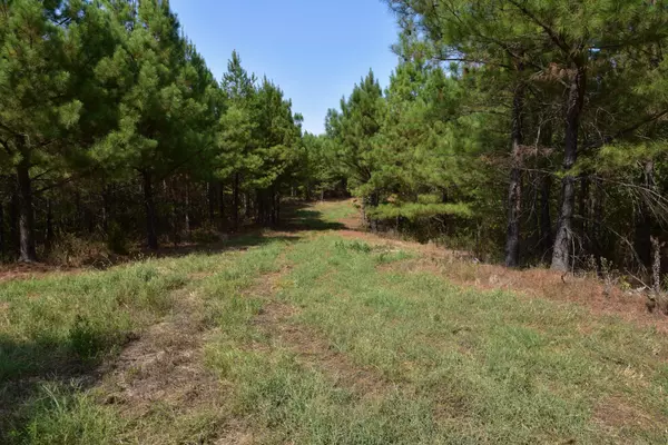 Erin, TN 37061,0 Fire Tower Rd