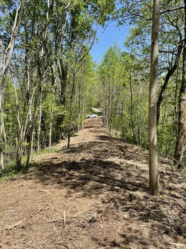 Dowelltown, TN 37059,0 Possum Hollow Rd