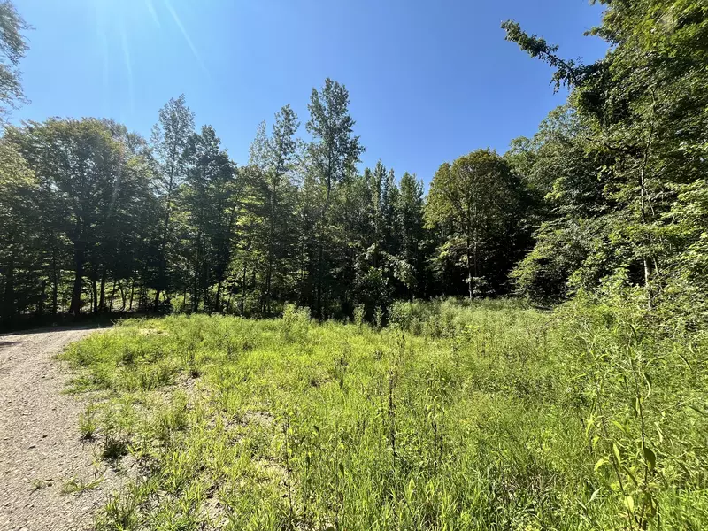 0 Big Sink Road, Mcminnville, TN 37110