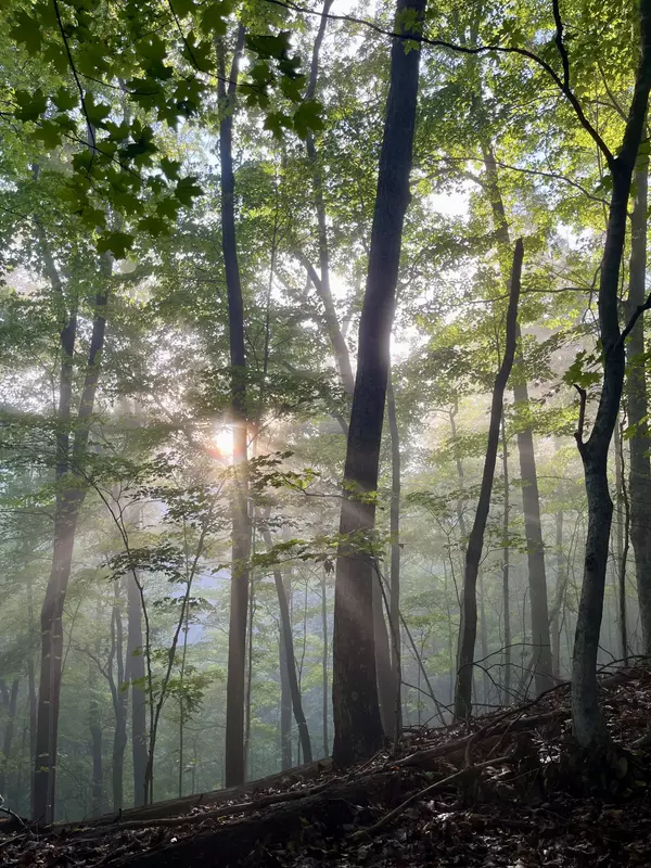 Bristol, TN 37620,1 Lakeview Dock Rd