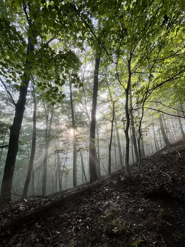 Bristol, TN 37620,1 Lakeview Dock Rd