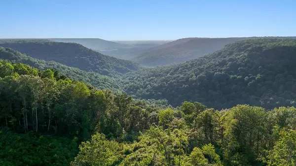 Monteagle, TN 37356,354 Little Trees Ramble