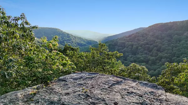 354 Little Trees Ramble, Monteagle, TN 37356