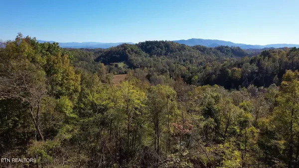 Sevierville, TN 37876,1040 Loop Rd