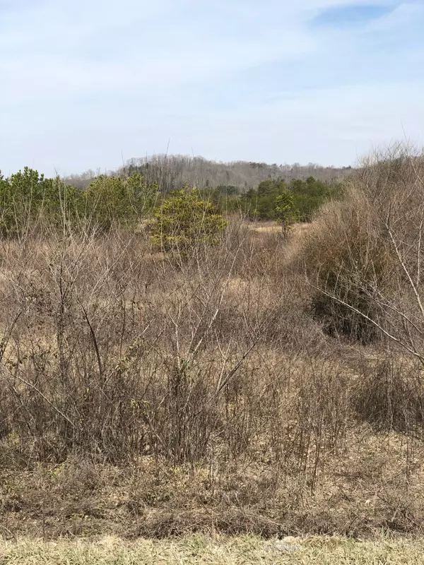 Duff, TN 37729,0 Davis Creek Rd