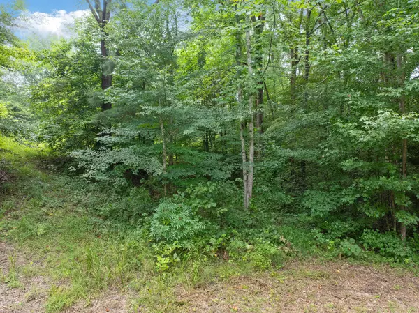 Cedar Grove, TN 38321,255 Jason Hollow Road