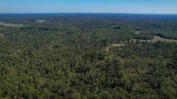 Puryear, TN 38251,0 Old Paris Murray Rd