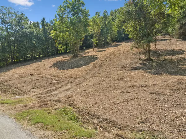 Hickman, TN 38567,115 Agee Branch Ln