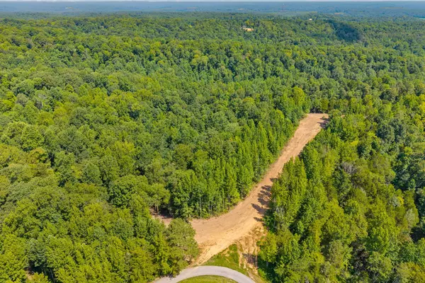 Palmyra, TN 37142,4 Lyle Hollow Rd