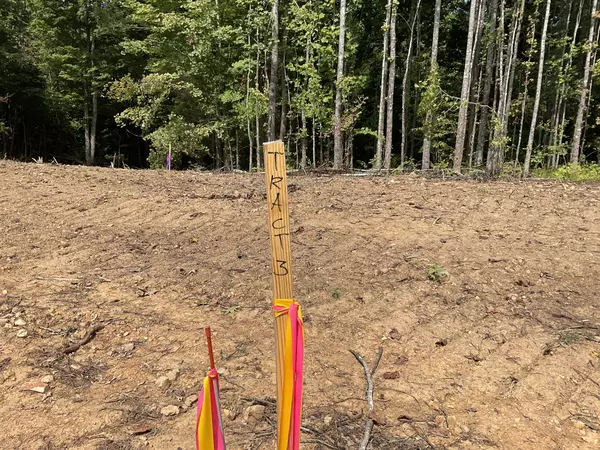 Palmyra, TN 37142,3 Lyle Hollow Rd