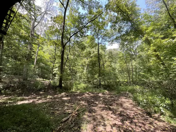 Palmyra, TN 37142,3 Lyle Hollow Rd