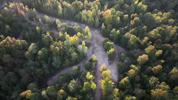 Palmyra, TN 37142,3 Lyle Hollow Rd