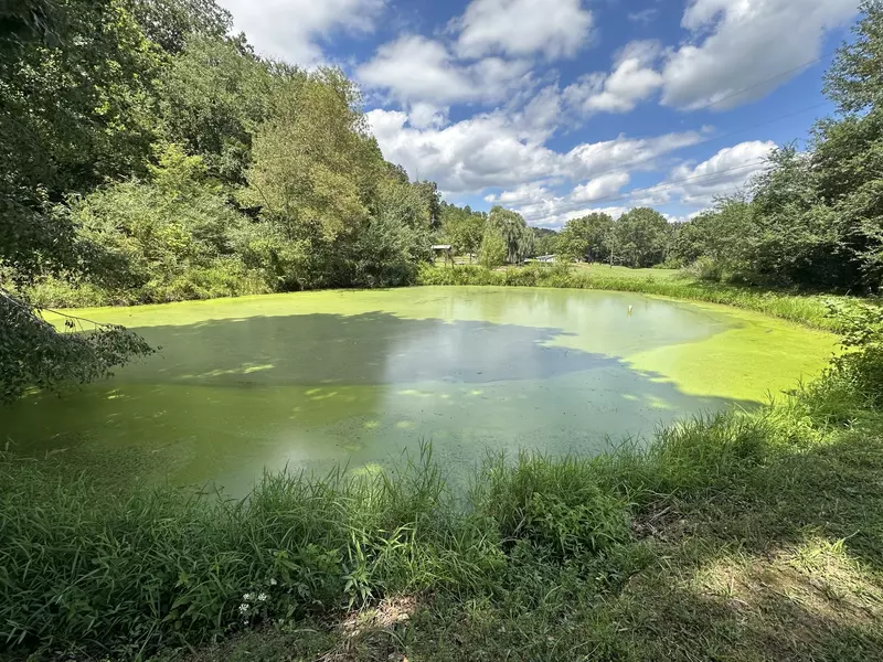 119 Rodger Carroll Rd, Hohenwald, TN 38462