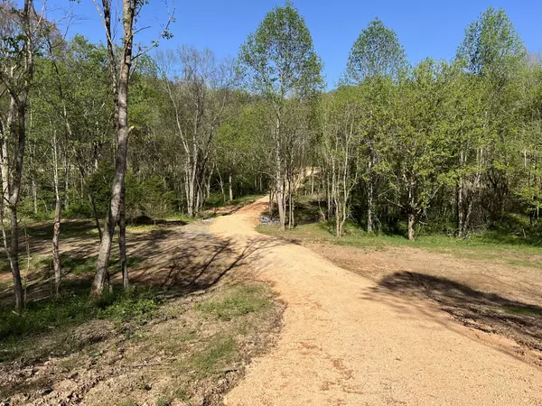Mount Pleasant, TN 38474,0 Preacher Holt Rd