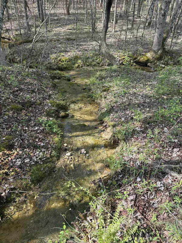 Baxter, TN 38544,0 Elmore Town Road