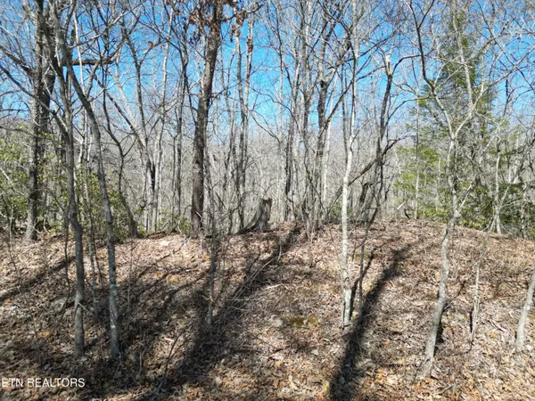 611 St George Drive, Crossville, TN 38558