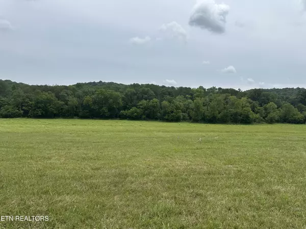 Blaine, TN 37709,8 Rutledge Pike