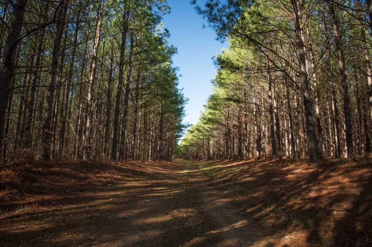 Centerville, TN 37033,0 Mayfield Divide Rd