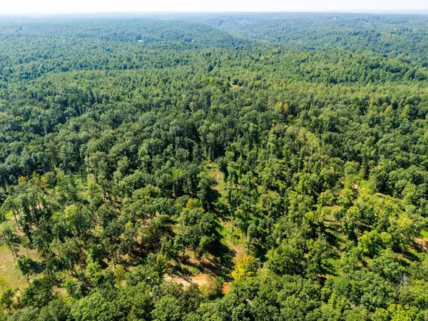 Hurricane Mills, TN 37078,715 Dyer Rd