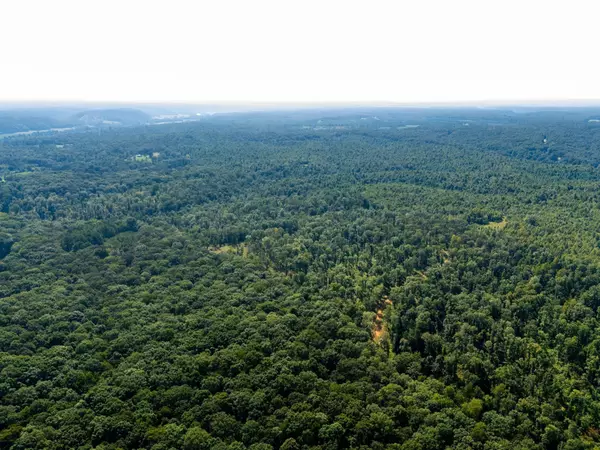 Hurricane Mills, TN 37078,835 Dyer Rd