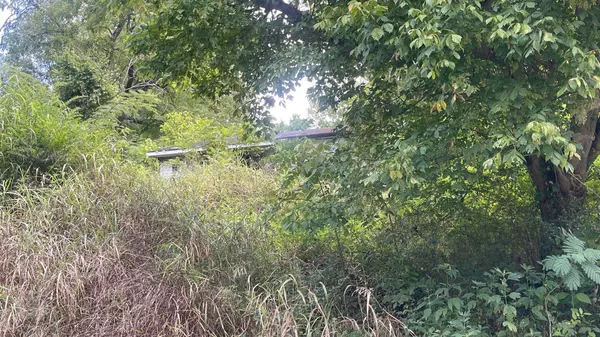 Hollow Rock, TN 38342,10 Holcomb St