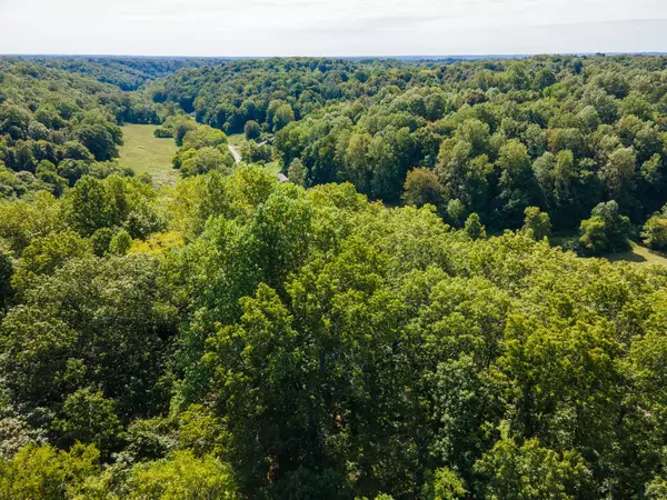 Lynnville, TN 38472,2311 Blue Branch Rd