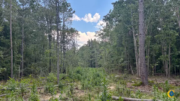 Holladay, TN 38341,9971 Birdsong Rd