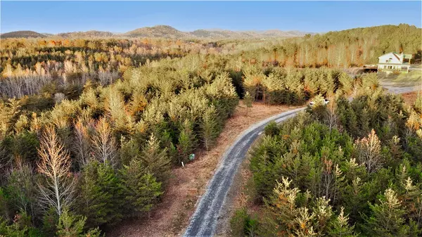 Tellico Plains, TN 37385,0 Jones Dr