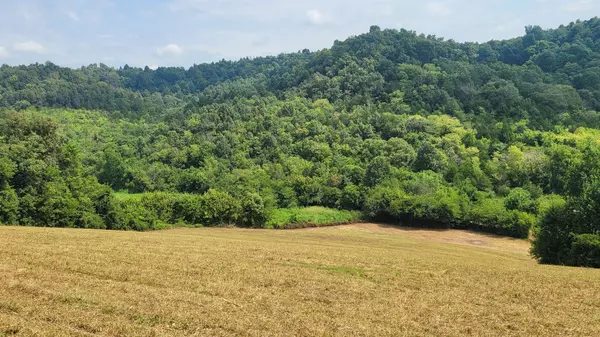 Bell Buckle, TN 37020,7 Puncheon Camp Rd