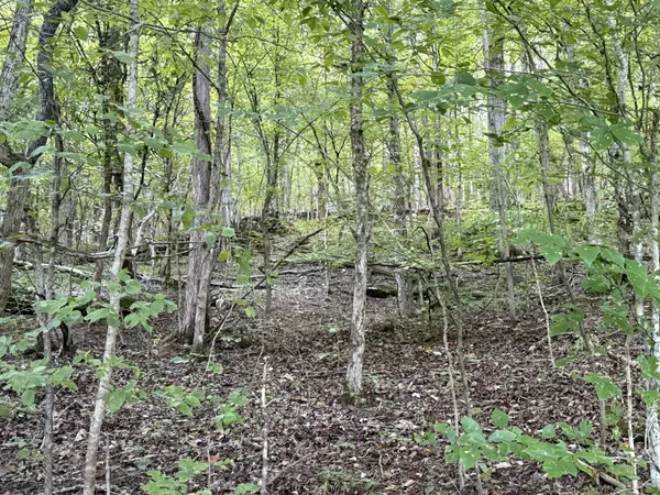 Waynesboro, TN 38485,0 Davis Hollow Rd