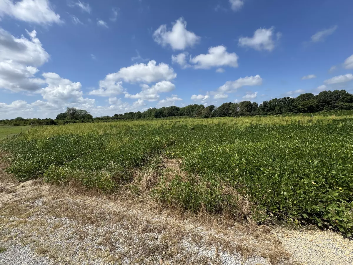 Mount Pleasant, TN 38474,0 Lauren Ln