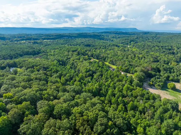 Chickamauga, GA 30707,0 Bear Paw Trail