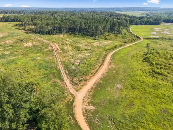 Shiloh, TN 38376,11200 Highway 142