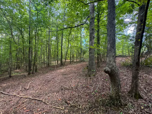 Clifton, TN 38425,0 Tom Baker Rd