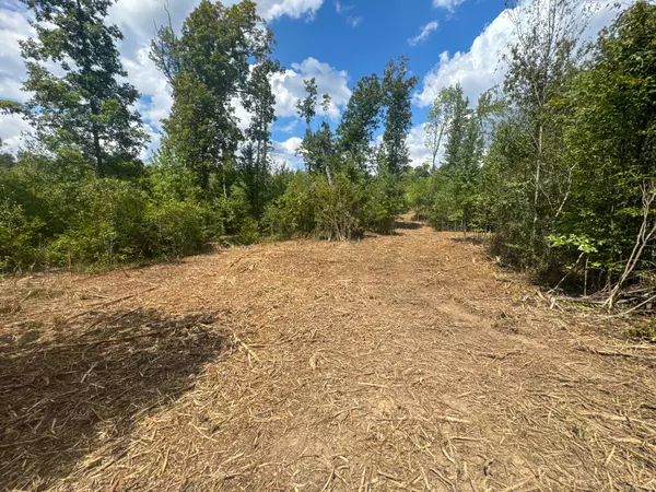 Clifton, TN 38425,0 Tom Baker Rd