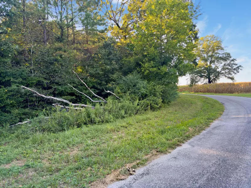 0 Fairview Church Rd, Mc Kenzie, TN 38201